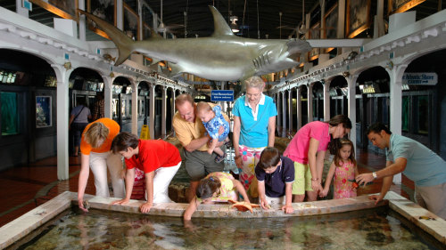 Key West Aquarium