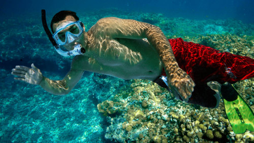 Guided Snorkel Adventure of Coral Reef