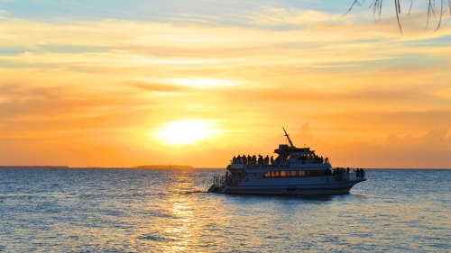 Sunset Cruise & Glass Bottom Eco Tour