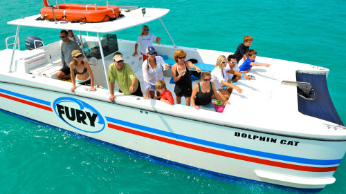Dolphin Watch & Snorkeling Tour