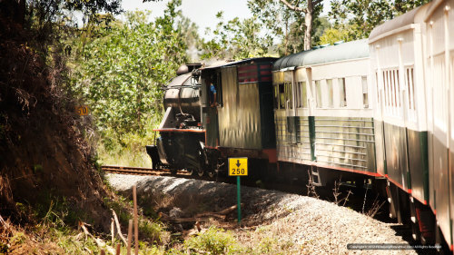 Colonial Steam Train Excursion