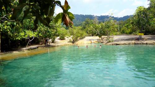 Rainforest Discovery Tour