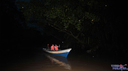 Glittering Fireflies Night Tour with Dinner