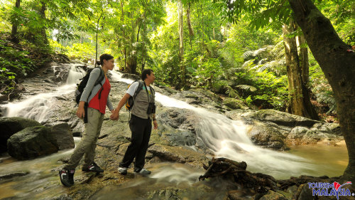 Tropical Rainforest Nature Half-Day Tour