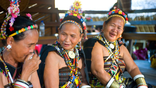 Private Tip of Borneo & Longhouse Tour by Borneo Trails Travel