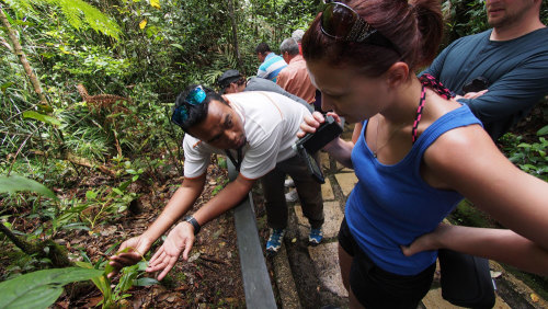 Kinabalu Park & Poring Hot Springs Venture