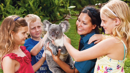 Kuranda Koala Gardens Admission