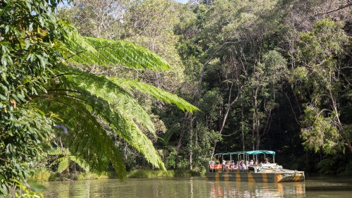 Rainforestation Nature Park, Butterfly Sanctuary & Kuranda Village