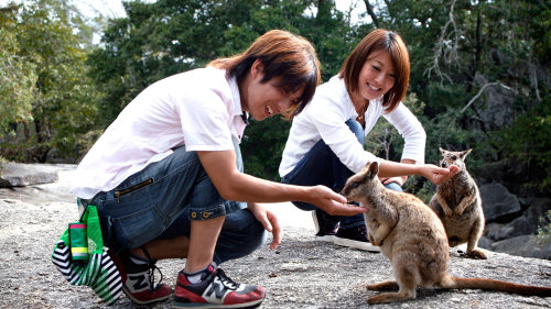 Kuranda Nocturnal Animal Tour by Doki Doki Tours