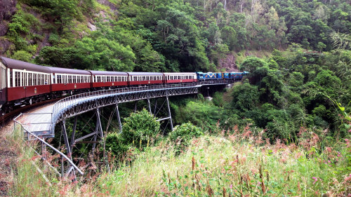 Green Island & Kuranda Full-Day Tour by Doki Doki Tours