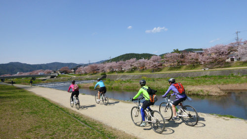 Small-Group Kyoto Cycling Tour by Urban Adventures