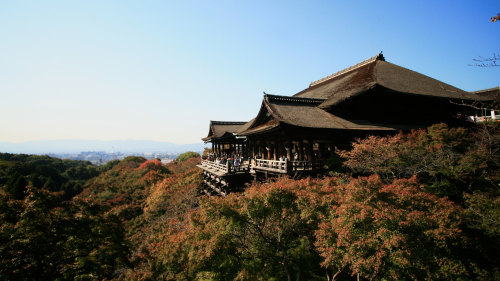 Scholar-Led Shintoism & Buddhism Walking Tour