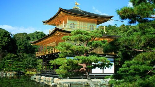 Japanese Gardens & Miniature Landscapes Tour