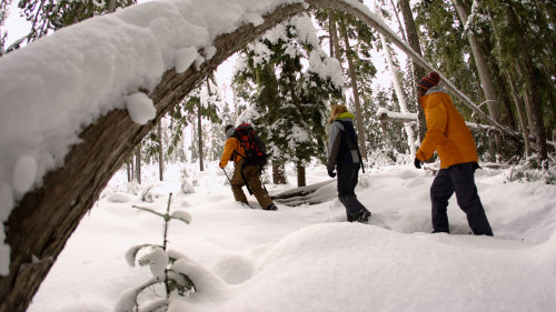 Snowshoe Adventure