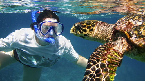 Snorkeling & Circumnavigating Lanai