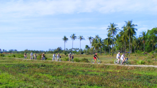 Private Langkawi Cycling Tour by Tour & Incentive Travel