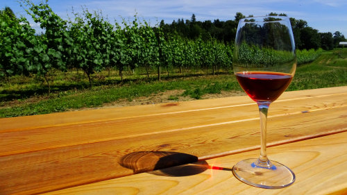 Fraser Valley Private Winetasting Tour with Gourmet Lunch