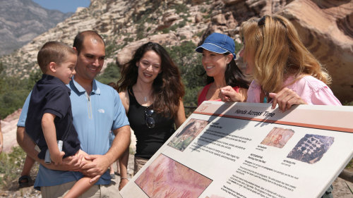 Pink Jeep: Red Rock Tour