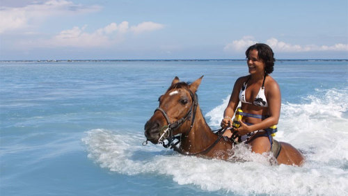 Horseback Beach Ride & Swim