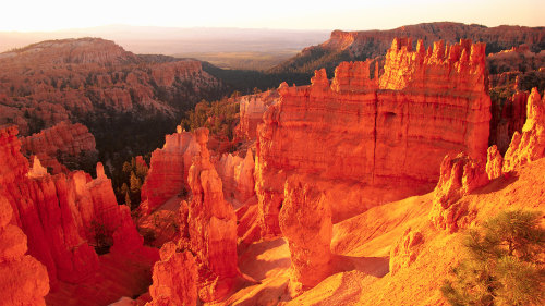 Bryce Canyon & Zion National Park Full-Day Tour by Adventure Photo Tours
