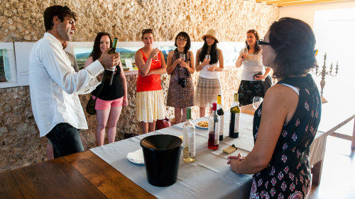 Arrábida Wine Small-Group Full-Day Tour