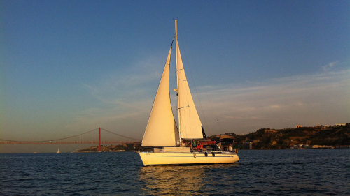 Small-Group Sunset Sailing Cruise by Marlin Boat Tours