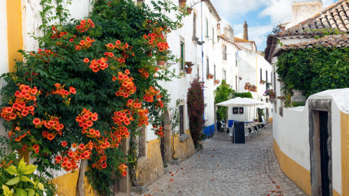 Óbidos, Nazaré & Fátima Small-Group Full-Day Tour