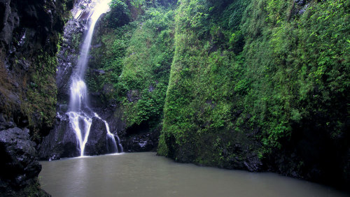 Private Rinjani Mountain Rainforest & Gangga Waterfalls Trek