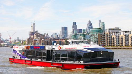 River Red Rover Hop-On Hop-Off Cruise