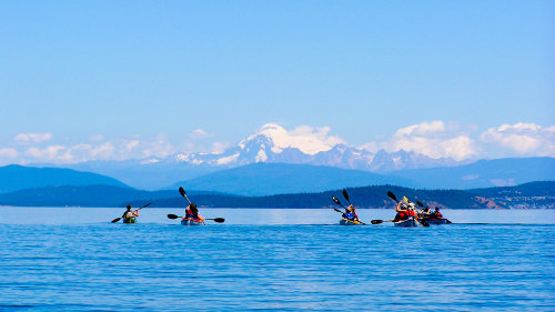 Kayaking Adventure along Lopez Island