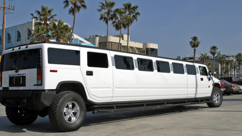 Private Hummer Limo Tour by Another Side Tours