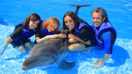 Small-Group Dolphin Ride & Interaction