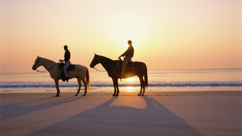 Desert & Beach Guided Horseback Ride