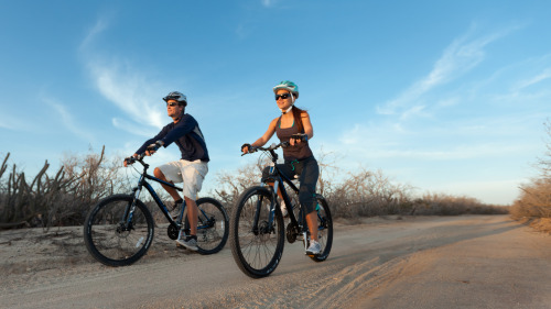 Half-Day Off-Road Guided Mountain Bike Tour