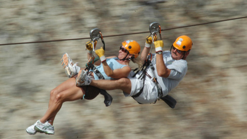 Zipline Canopy Adventure