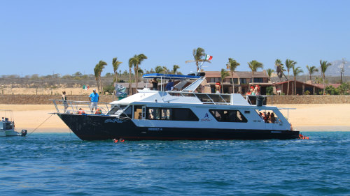 Snorkeling Lunch Cruise