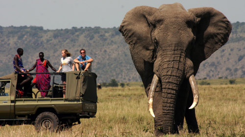 7-Day Masai Footsteps Safari