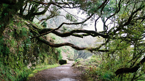 Rabacal to 25 Fontes Guided Levada Hike