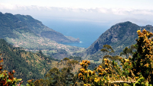 Ribeiro Frio to Portela Guided Levada Hike