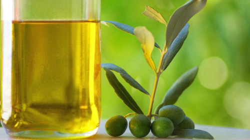 Olive Oil Tasting Experience by Trip4Real
