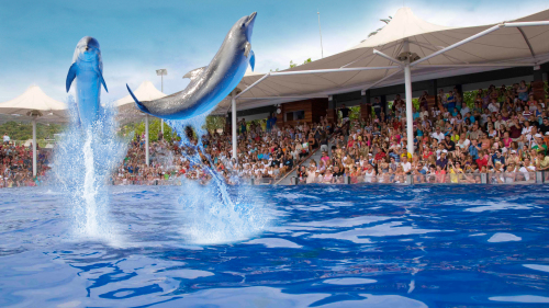 Marineland Dolphinarium & Marine Zoo