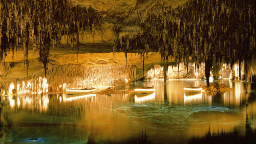 Caves of Drach Full-Day Tour