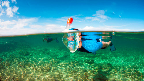 Boat Tour & Snorkeling in Palma Bay