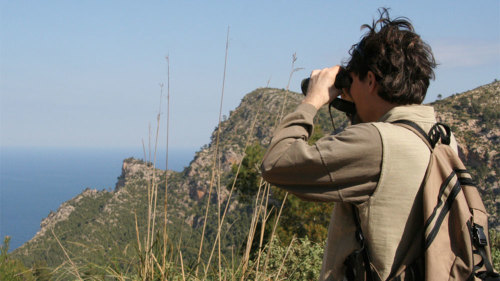 Bird Watching Walking Tour by Trip4Real