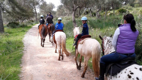 Horse Riding Tour by Trip4Real