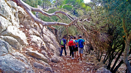 Adventure Trekking in the Mountains Half-Day Experience