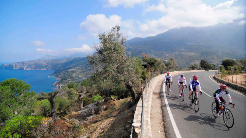 Basic Trail Cycling Experience with Lunch by Tour Advisor