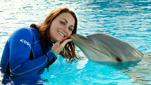 Swimming with Dolphins at Malta Marine Park