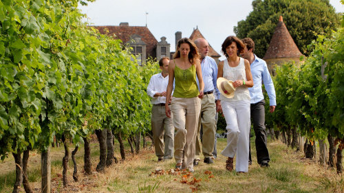 Afternoon Bordeaux Wine Tour: Médoc Region