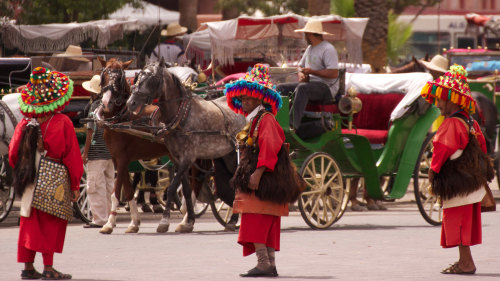 Small-Group Medina, Palaces & Tombs Walking Tour by Urban Adventures